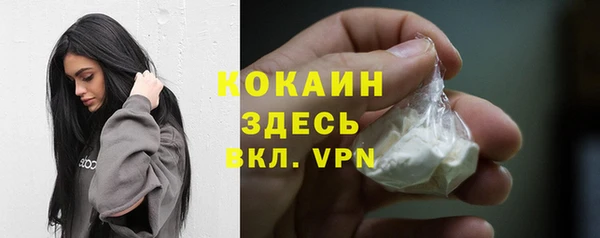 мет Няндома