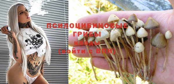 мет Няндома