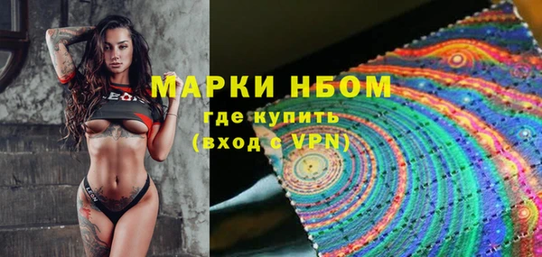 мет Няндома