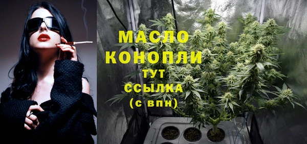 мет Няндома