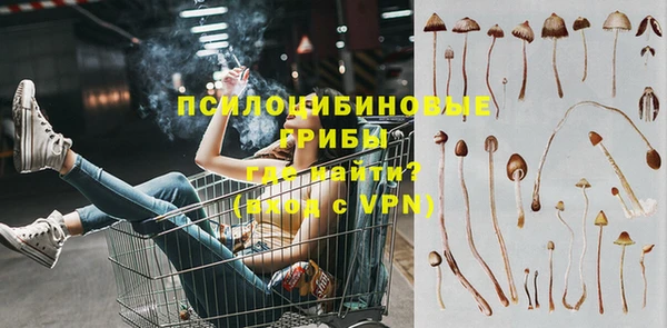 бошки Нягань