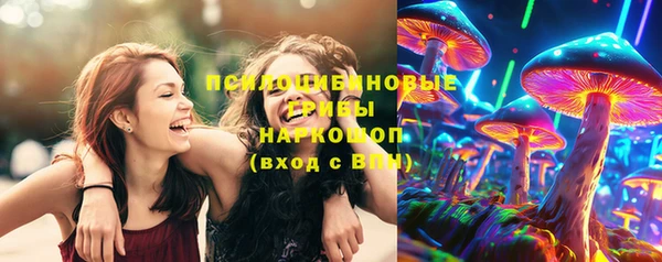 мет Няндома