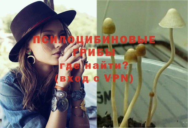 не бодяженный Нязепетровск