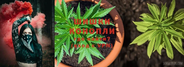 мет Няндома
