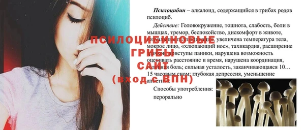 бошки Нягань