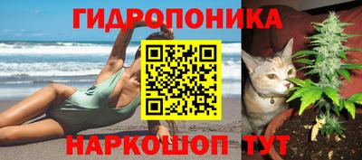 шишки Азнакаево