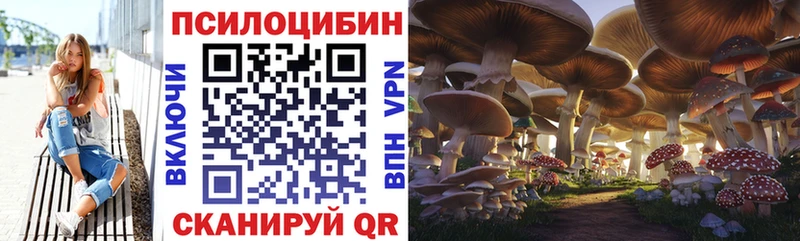 Галлюциногенные грибы Psilocybine cubensis  маркетплейс официальный сайт  Алатырь 