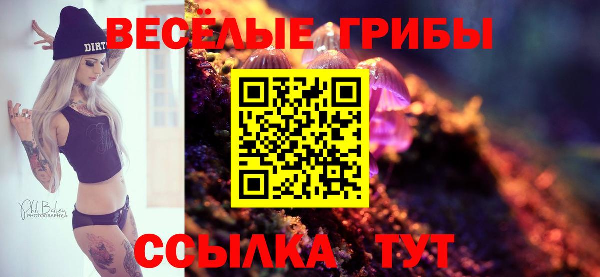 Псилоцибиновые грибы Cubensis  Вход с VPN  Алатырь  Галлюциногенные грибы Magic Shrooms 